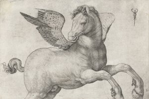 Pégaso, 1509-16 de Jacopo de Barbari