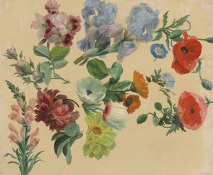 Estudos sobre as flores de verão