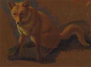 Estudo de uma raposa de Jacques-Laurent Agasse