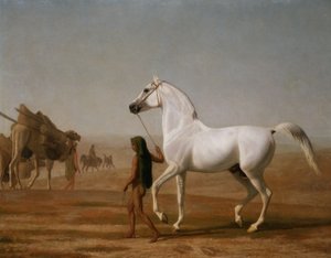 O Arábico Wellesley Grey Led através do Deserto de Jacques-Laurent Agasse