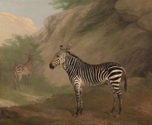 Zebra de Jacques-Laurent Agasse