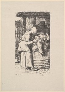 Tosquia de ovelhas, 1853.