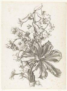 Buquê com uma tulipa, um jacinto, brodiaea e narcisos Diverse Fleurs mises en Boucquets (título da série) de Jacques Bailly (I)