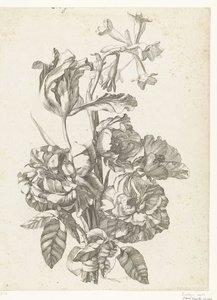 Bouquet com peónias, uma tulipa e um bródio
Diverses Fleurs mises en Boucquets (título da série) de Jacques Bailly (I)