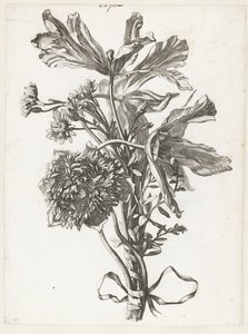 Bouquet com tulipas desbotadas, uma anêmona e immortelles Diverse Fleurs mises en Boucquets (título da série) de Jacques Bailly (I)