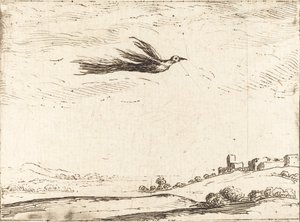 Pássaro do paraíso de Jacques Callot