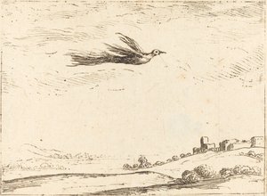 Pássaro do paraíso de Jacques Callot
