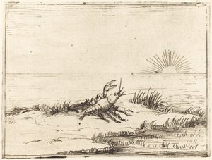 Lagostim olhando para o sol de Jacques Callot