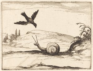 Corvo e Caracol de Jacques Callot