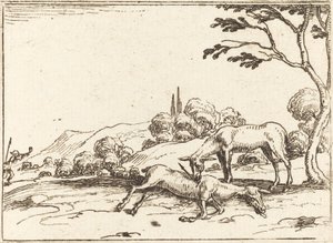 Doe lamentando seu potro de Jacques Callot