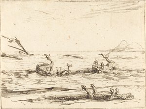 Golfinhos e crocodilo de Jacques Callot