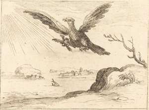 Águia e Jovem. de Jacques Callot