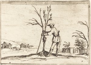 Jardineiro podando uma árvore de Jacques Callot