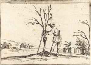 Jardineiro podando uma árvore de Jacques Callot