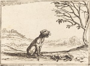 Leoa de luto por seu filhote de Jacques Callot