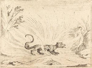 Salamandra cercada por chamas de Jacques Callot