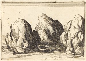 Serpente, 1628. de Jacques Callot