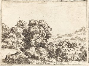 Ovelha Chamando Cordeiro de Jacques Callot