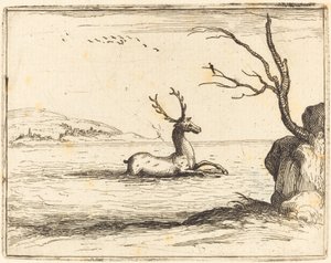 Veado na água de Jacques Callot