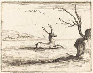 Veado na Água, 1628. de Jacques Callot