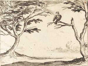 The Vulture de Jacques Callot
