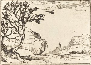 Pomba tartaruga voando no deserto. de Jacques Callot