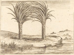 Duas Palmeiras de Jacques Callot