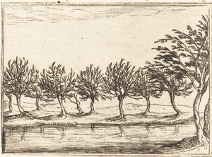 Salgueiros à beira da água de Jacques Callot