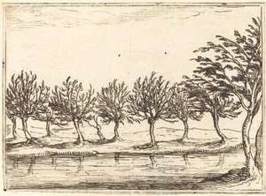 Salgueiros à beira da água de Jacques Callot