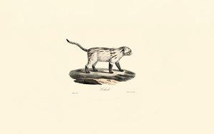 de Jacques Christophe Werner