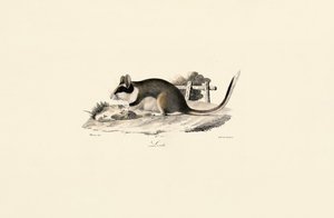 Arganaz de jardim de Jacques Christophe Werner