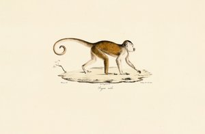  de Jacques Christophe Werner
