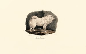  de Jacques Christophe Werner