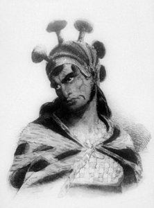 Guerreiro havaiano usando um capacete com uma crista ornamentada de cogumelos, 1819