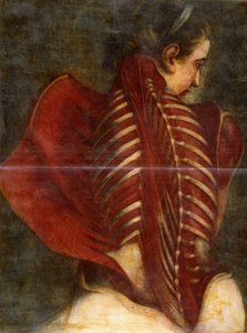 O anjo esfolado, c.1745