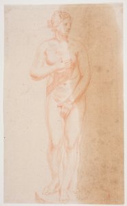 Vênus em pé de Jacques Francois Joseph Saly