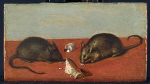 Ratos, c.1600 (óleo sobre madeira de carvalho) de Jacques II de Gheyn