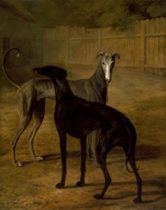 Rolla e Portia de Jacques Laurent Agasse