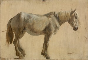 Estudo de um cavalo cinzento (óleo sobre papel) de Jacques Laurent Agasse
