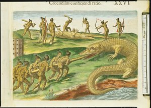 Crocodilos de caça, de &39;Brevis Narratio&39;, gravado por Theodore de Bry (1528-98) 1563 (detalhe de 180138) de Jacques Le Moyne