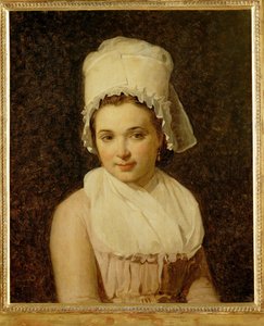 Catherine-Marie-Jeanne Tallard, esposa de François Lamy, presidente da Câmara de Sougere/Yonne ... de Jacques Louis David