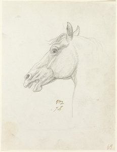 Cabeça de cavalo de Jacques Louis David