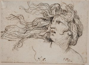 Cabeça de mulher com cabelo esvoaçante de Jacques Louis David