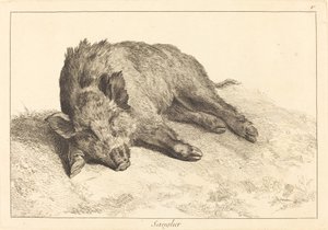 Sanglier (javali deitado, cabeça para a esquerda)