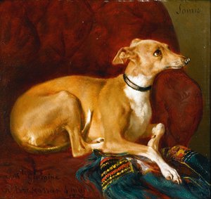 Um galgo a descansar numa cadeira de Jacques Raymond Brascassat
