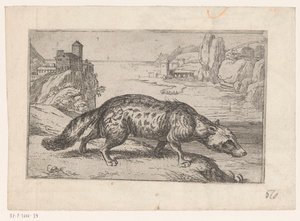 Hiena Animais em paisagens (título da série) de Jacques de Fornazeris (attributed to)