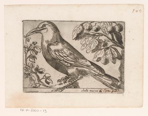 Vogel
Chuta marina (título sobre o objecto)
Vogels (título da série) de Jacques de Fornazeris (possibly)