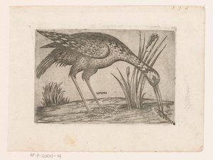 Vogel
Tartena (título sobre o objecto)
Vogels (título da série) de Jacques de Fornazeris (possibly)