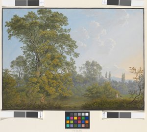 Paisagem idílica com faunos e ninfas de Jakob Alt