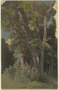 Estudo de parque, clareira de Jakob Becker
